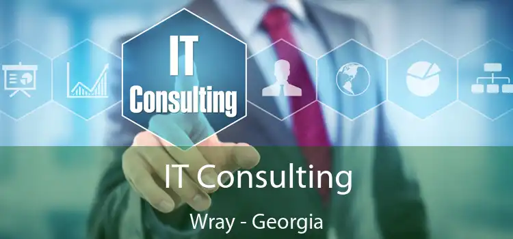 IT Consulting Wray - Georgia