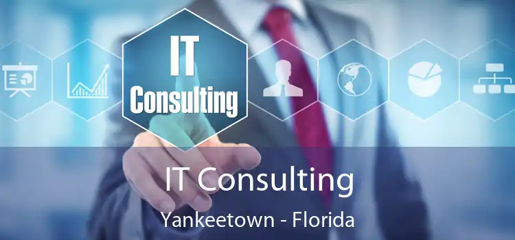IT Consulting Yankeetown - Florida