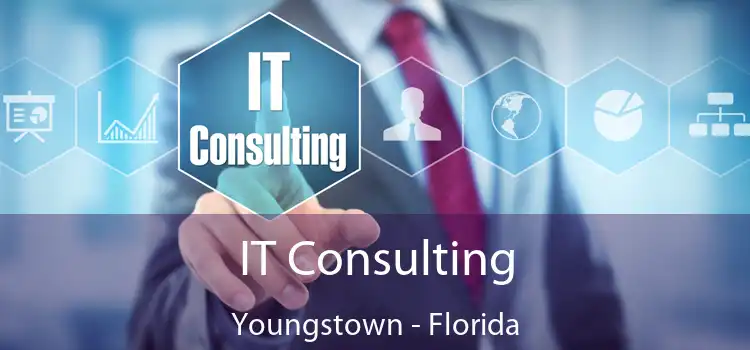 IT Consulting Youngstown - Florida