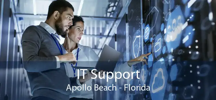 IT Support Apollo Beach - Florida