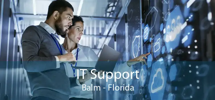 IT Support Balm - Florida