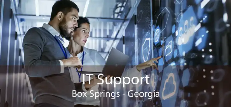 IT Support Box Springs - Georgia
