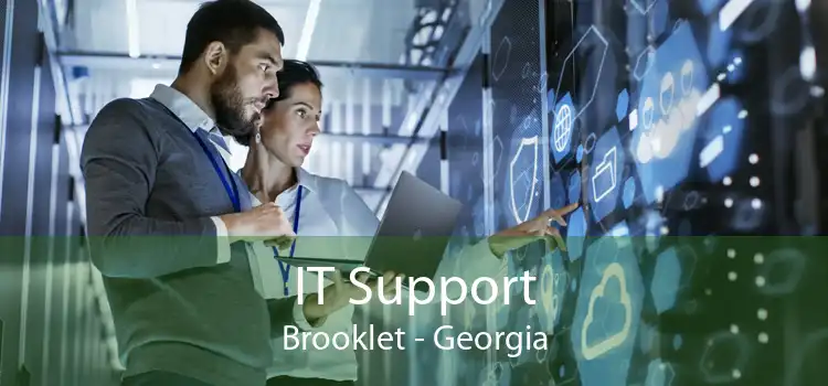 IT Support Brooklet - Georgia