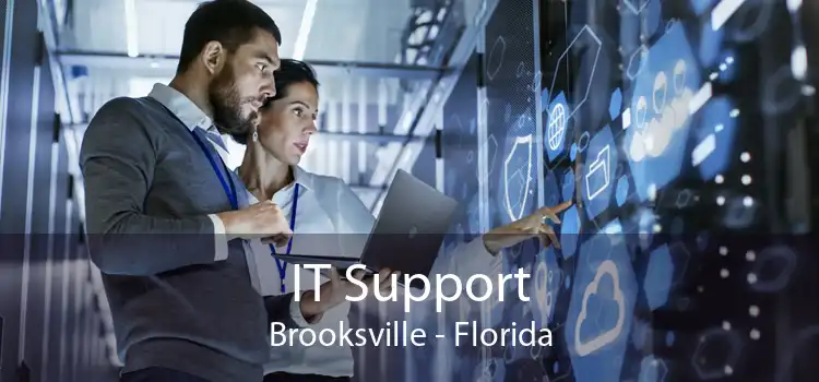 IT Support Brooksville - Florida