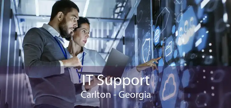 IT Support Carlton - Georgia