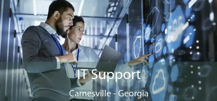 IT Support Carnesville - Georgia