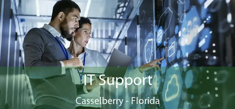 IT Support Casselberry - Florida