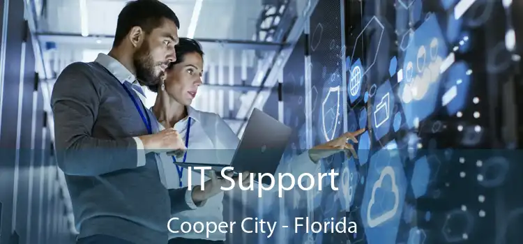 IT Support Cooper City - Florida