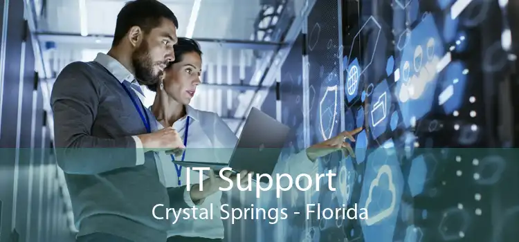 IT Support Crystal Springs - Florida