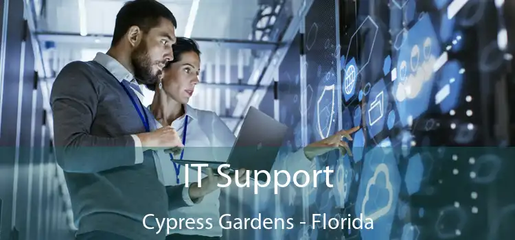 IT Support Cypress Gardens - Florida