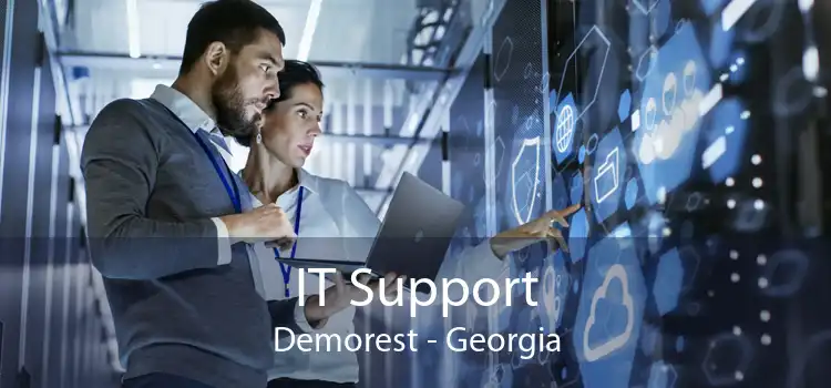 IT Support Demorest - Georgia