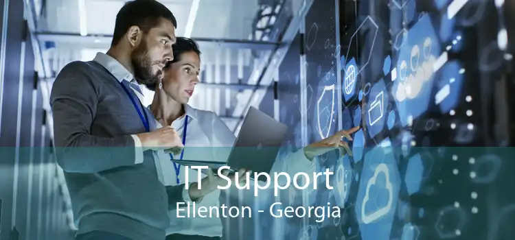 IT Support Ellenton - Georgia