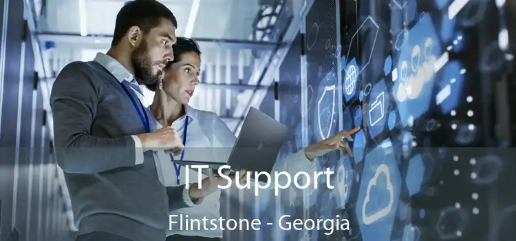 IT Support Flintstone - Georgia