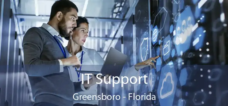 IT Support Greensboro - Florida