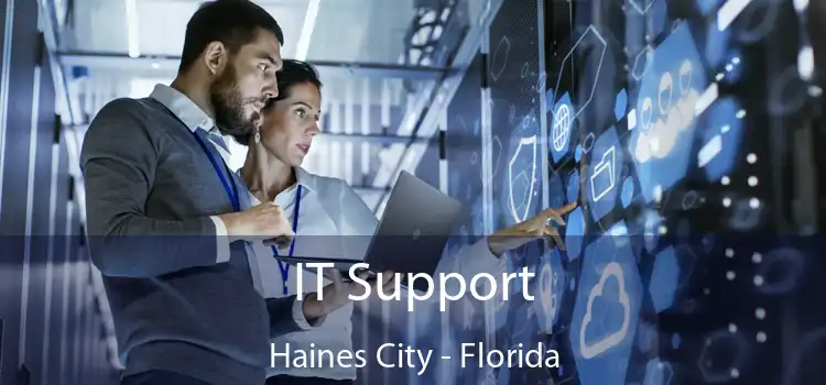 IT Support Haines City - Florida