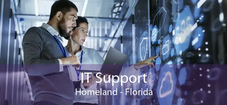 IT Support Homeland - Florida