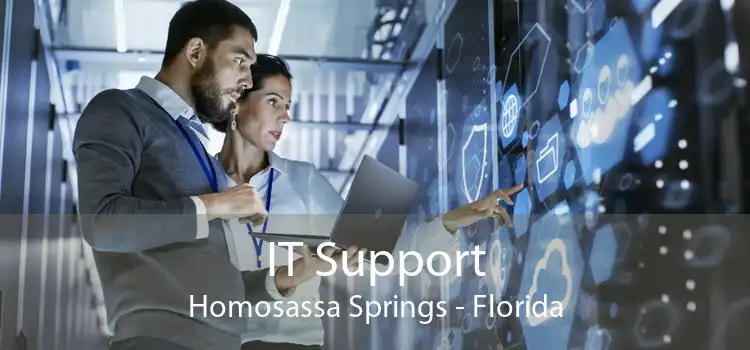 IT Support Homosassa Springs - Florida