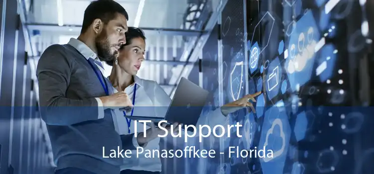 IT Support Lake Panasoffkee - Florida