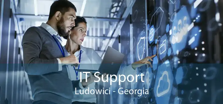 IT Support Ludowici - Georgia