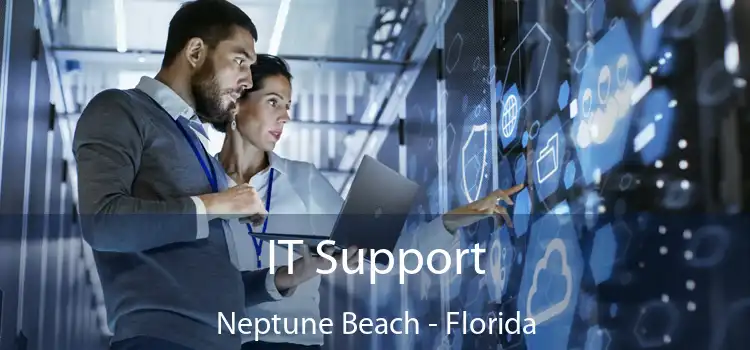 IT Support Neptune Beach - Florida