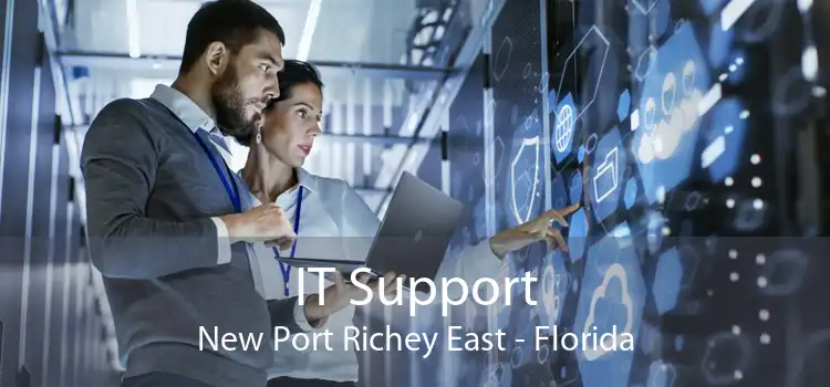 IT Support New Port Richey East - Florida