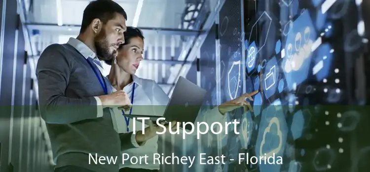 IT Support New Port Richey East - Florida