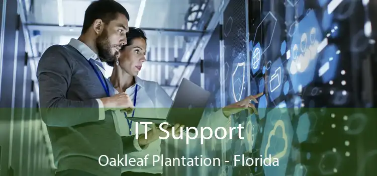 IT Support Oakleaf Plantation - Florida