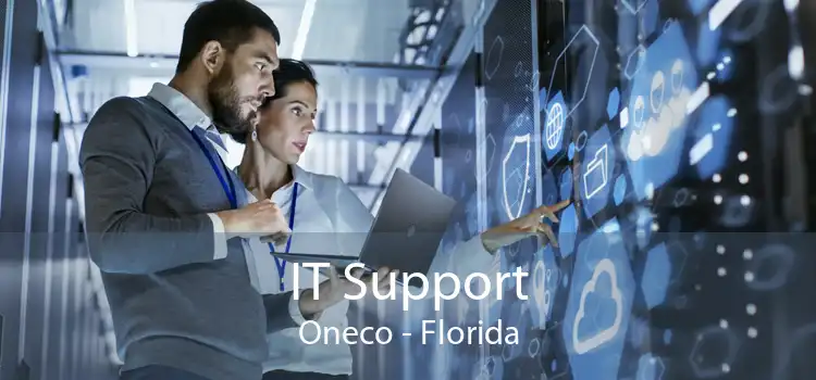 IT Support Oneco - Florida