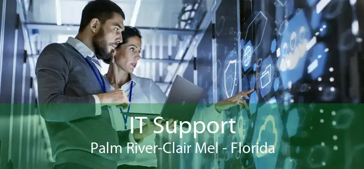 IT Support Palm River-Clair Mel - Florida