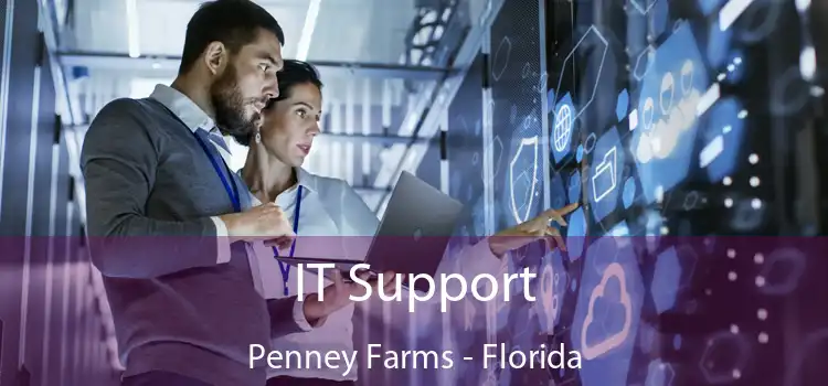 IT Support Penney Farms - Florida