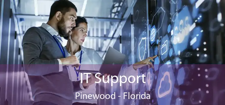 IT Support Pinewood - Florida