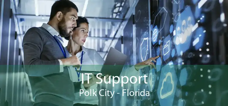 IT Support Polk City - Florida