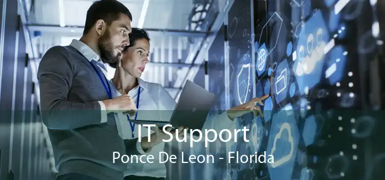 IT Support Ponce De Leon - Florida