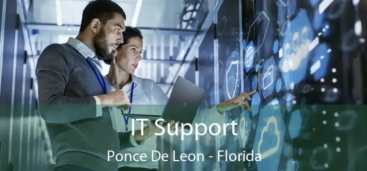 IT Support Ponce De Leon - Florida