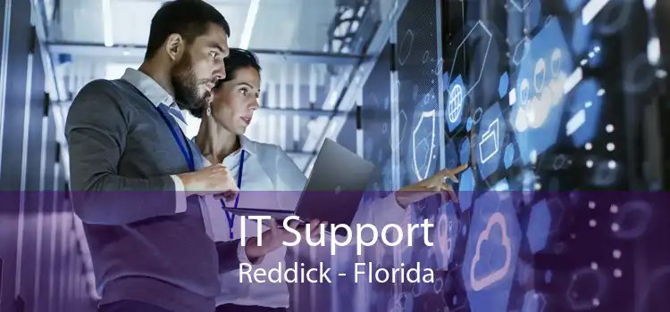 IT Support Reddick - Florida