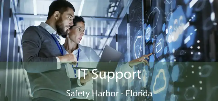 IT Support Safety Harbor - Florida