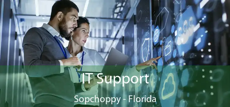 IT Support Sopchoppy - Florida