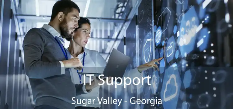 IT Support Sugar Valley - Georgia