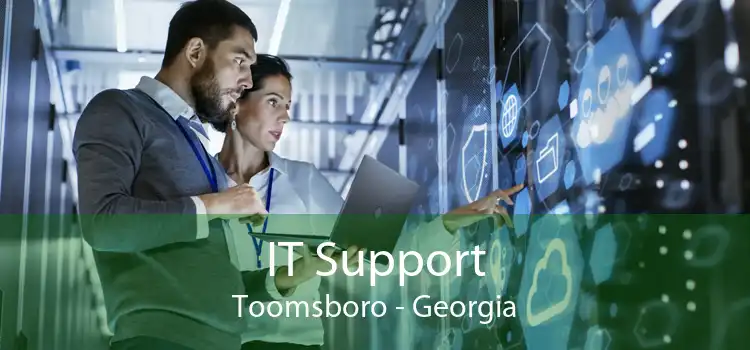 IT Support Toomsboro - Georgia