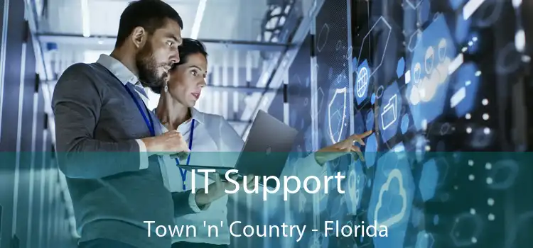 IT Support Town 'n' Country - Florida