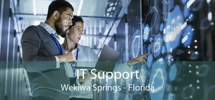 IT Support Wekiwa Springs - Florida