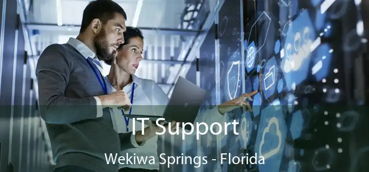 IT Support Wekiwa Springs - Florida