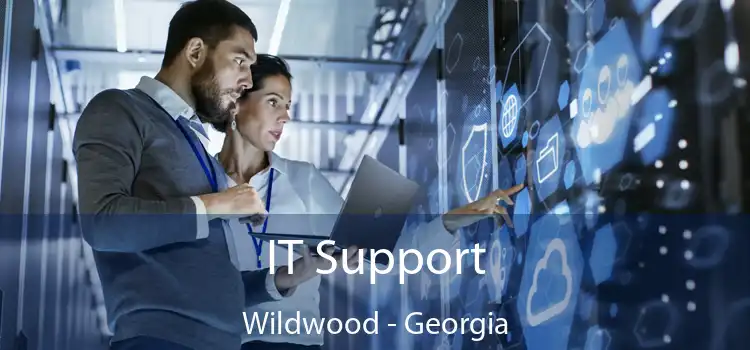 IT Support Wildwood - Georgia