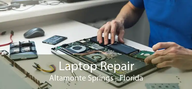Laptop Repair Altamonte Springs - Florida