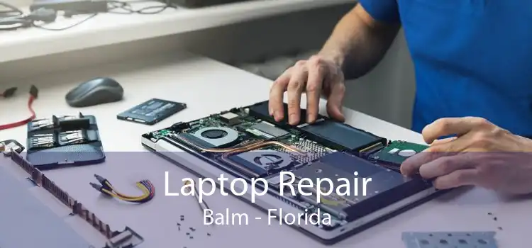 Laptop Repair Balm - Florida