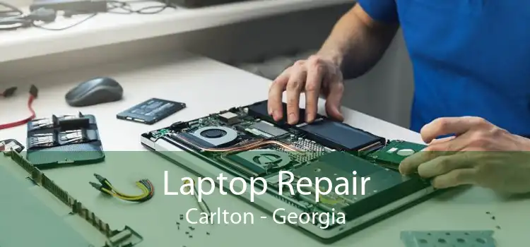 Laptop Repair Carlton - Georgia