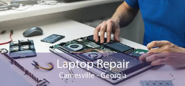Laptop Repair Carnesville - Georgia