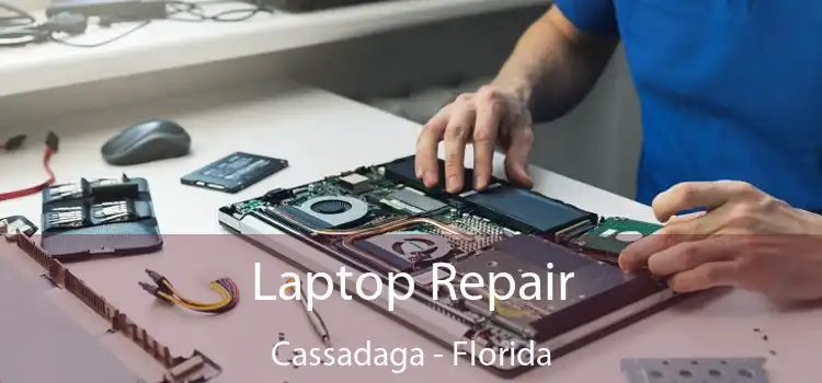 Laptop Repair Cassadaga - Florida