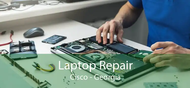 Laptop Repair Cisco - Georgia