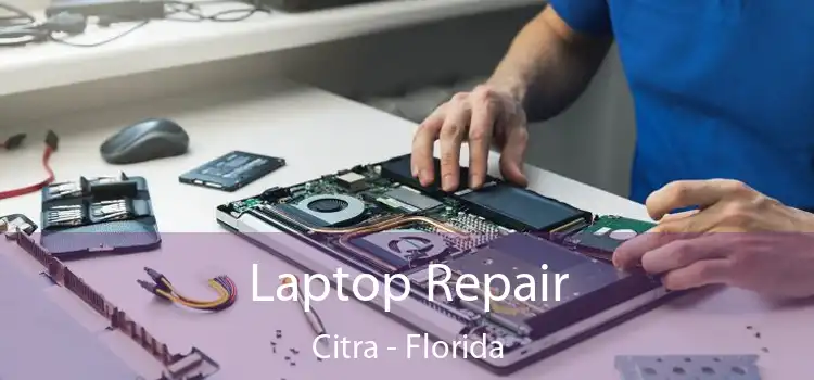 Laptop Repair Citra - Florida